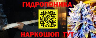 a pvp Тверь