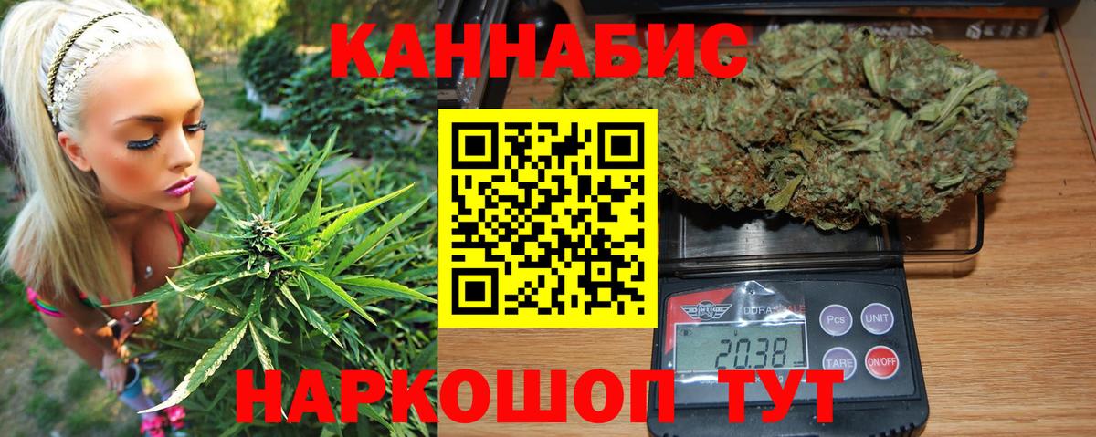 Марихуана марихуана Новокубанск